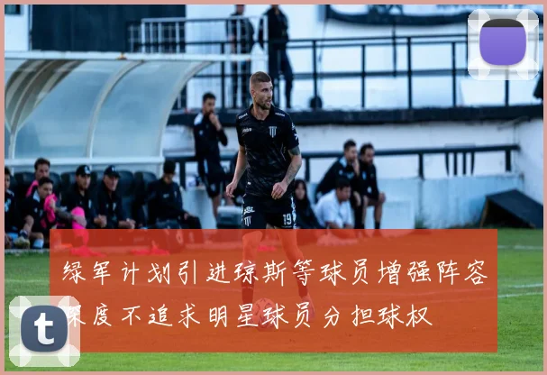 绿军计划引进琼斯等球员增强阵容深度不追求明星球员分担球权