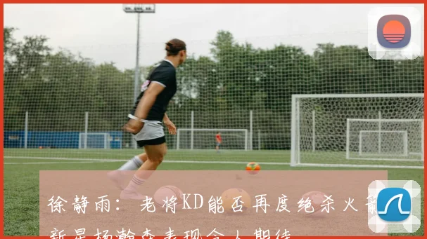 徐静雨：老将KD能否再度绝杀火箭新星杨瀚森表现令人期待